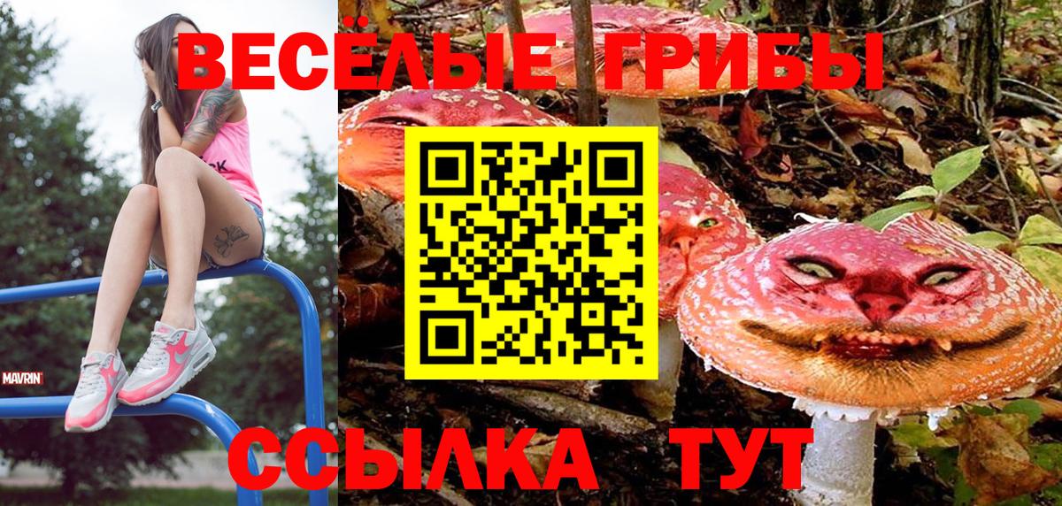Псилоцибиновые грибы Magic Shrooms  что такое наркотик  Лянтор  Галлюциногенные грибы GOLDEN TEACHER  Вход с VPN 